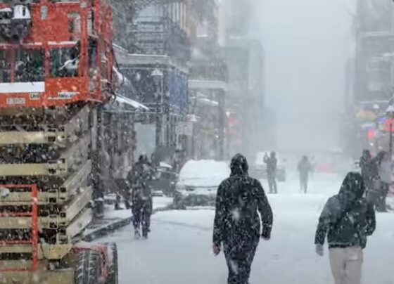 Rare Winter Storm: Historic Snowfall from Texas to Florida