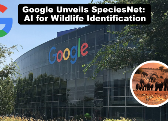 Google Unveils SpeciesNet: AI for Wildlife Identification